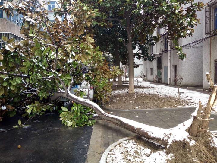 桐乡暴雪天气应对措施_桐乡天气预报_桐乡雨雪天气交通出行信息