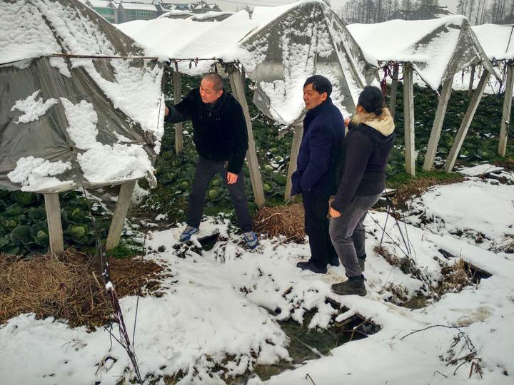 桐乡暴雪天气应对措施_桐乡雨雪天气交通出行信息_桐乡天气预报