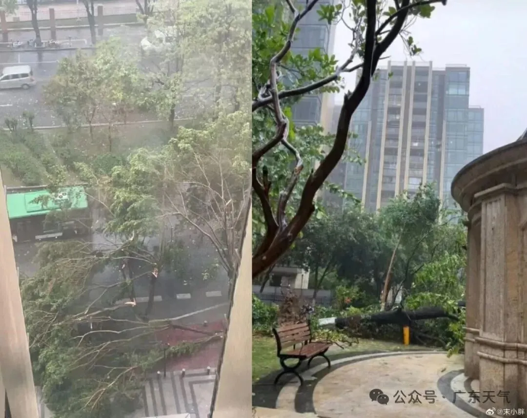 广东飑线影响_惠州天气_广东暴雨天气