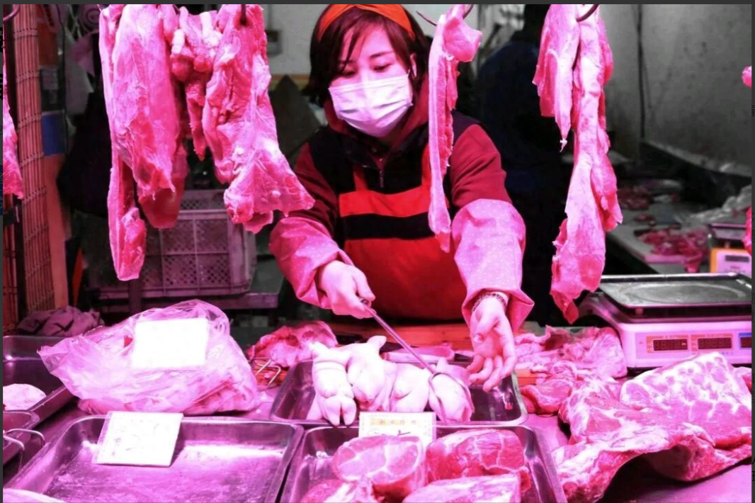 跌破10元/公斤！“猪王”牧原股份季度利润缩水九成！