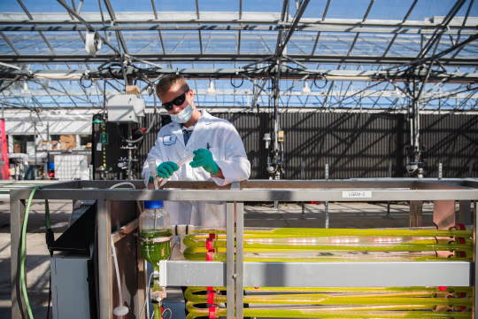 埃克森科学家曾对藻类生物燃料存疑 但这家石油巨头仍大肆宣传