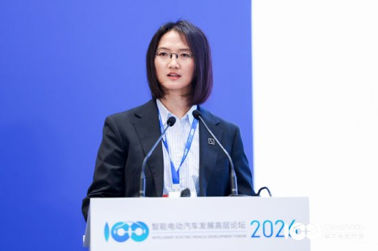 极氪徐云:中国豪华汽车品牌应“靠技术立标准、靠创新赢市场”,而非靠价格换市场