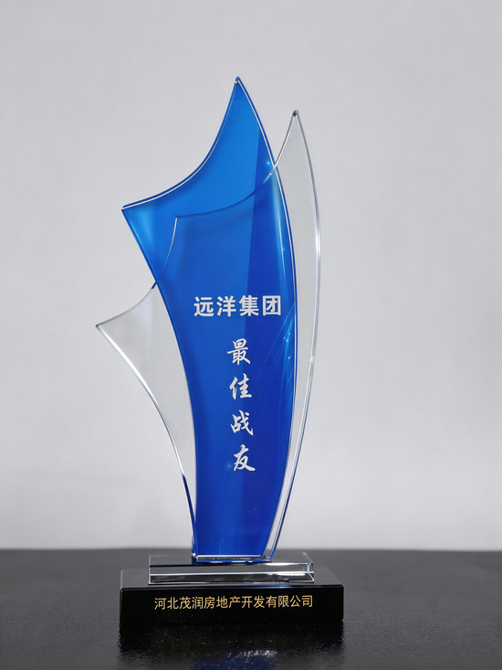 从滞销盘到区域标杆 远洋建管获委托方授予“最佳战友”