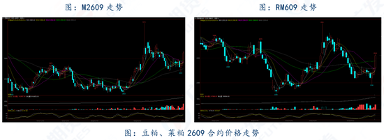 两粕：美豆上涨提振内盘，低库存支撑菜粕价格